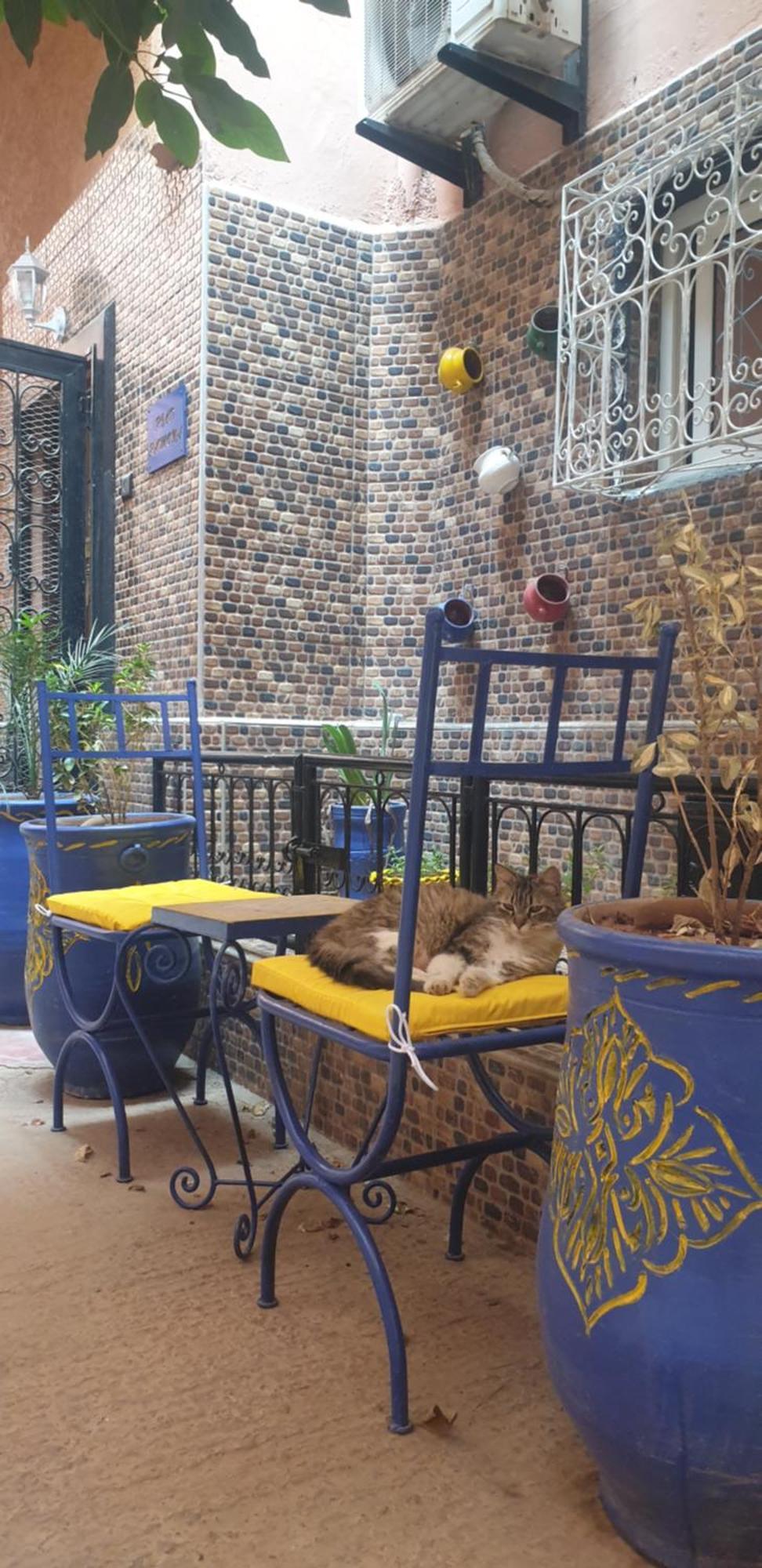 Riad Ramona Lqariya Seyaheya Marrakesh Ngoại thất bức ảnh